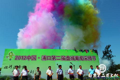 葡萄之韵·舞台艺术策划——解析中国·浦口第二届盘城葡萄采摘节开幕造型设计